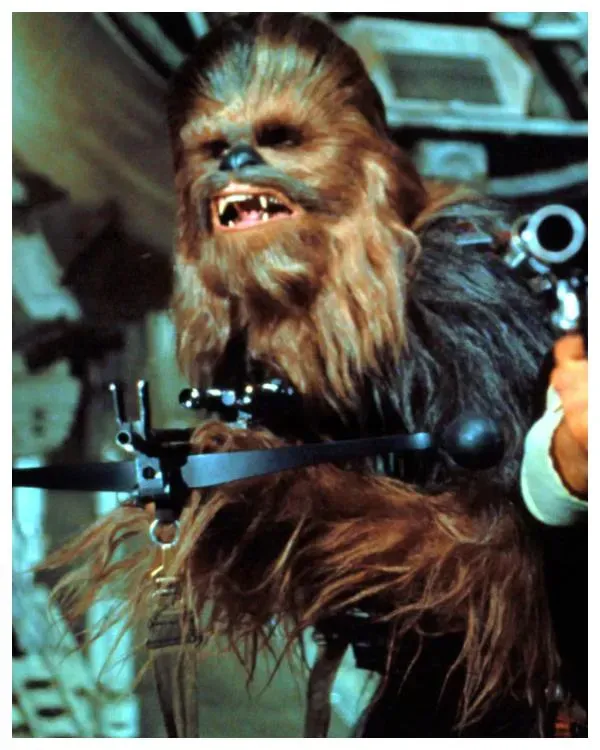 Chewbacca