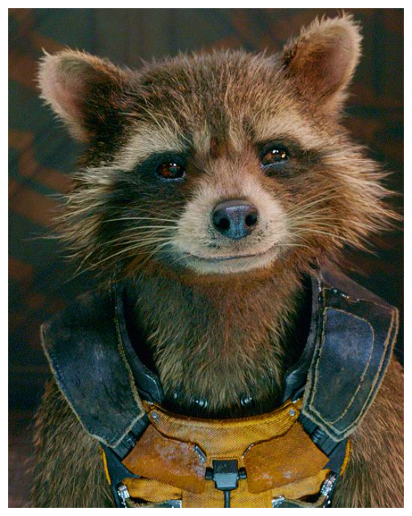 Rocket Racoon