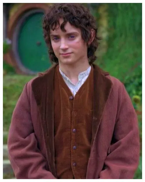 Frodo Baggins