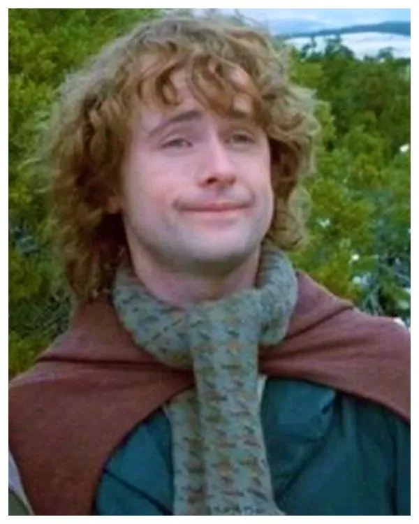 Peregrin “Pippin” Took